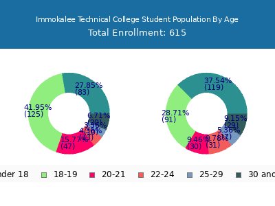 Immokalee Technical College 2025 Student Population Age Diversity Pie chart