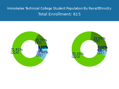 Immokalee Technical College 2025 Student Population by Gender and Race chart