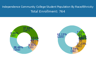 Independence Community College 2025 Student Population by Gender and Race chart
