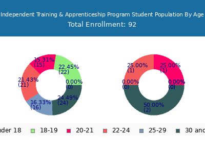 Independent Training & Apprenticeship Program 2024 Student Population Age Diversity Pie chart