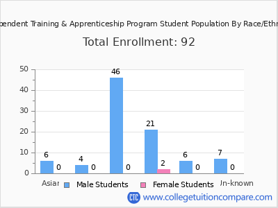 Independent Training & Apprenticeship Program 2025 Student Population by Gender and Race chart
