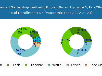 Independent Training & Apprenticeship Program 2023 Student Population by Gender and Race chart
