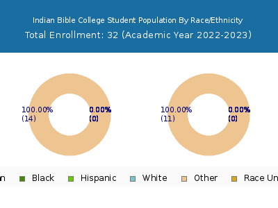 Indian Bible College 2023 Student Population by Gender and Race chart