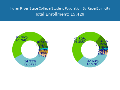Indian River State College 2025 Student Population by Gender and Race chart