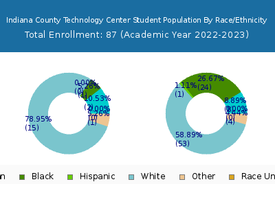 Indiana County Technology Center 2023 Student Population by Gender and Race chart
