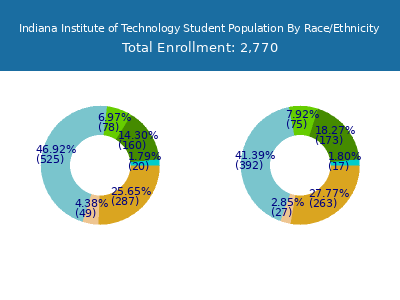 Indiana Institute of Technology 2025 Student Population by Gender and Race chart