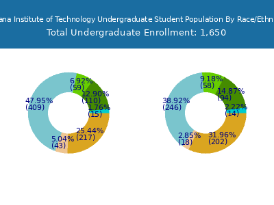Indiana Institute of Technology 2025 Undergraduate Enrollment by Gender and Race chart