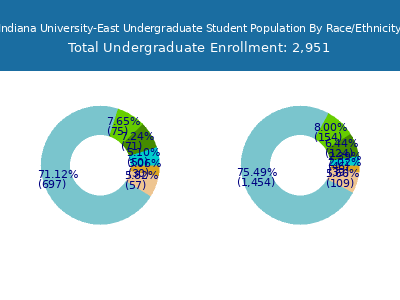 Indiana University-East 2025 Undergraduate Enrollment by Gender and Race chart