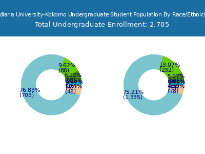 Indiana University-Kokomo 2025 Undergraduate Enrollment by Gender and Race chart