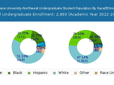 Indiana University-Northwest 2023 Undergraduate Enrollment by Gender and Race chart