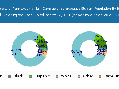 Indiana University of Pennsylvania-Main Campus 2023 Undergraduate Enrollment by Gender and Race chart