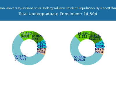 Indiana University-Indianapolis 2025 Undergraduate Enrollment by Gender and Race chart