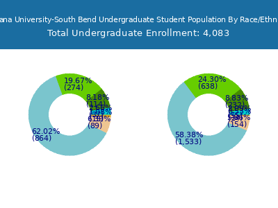 Indiana University-South Bend 2025 Undergraduate Enrollment by Gender and Race chart