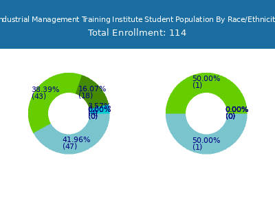 Industrial Management Training Institute 2025 Student Population by Gender and Race chart