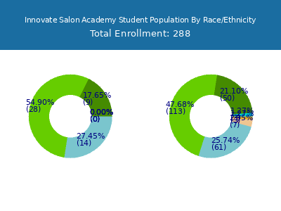 Innovate Salon Academy 2025 Student Population by Gender and Race chart