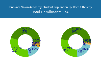 Innovate Salon Academy 2025 Student Population by Gender and Race chart