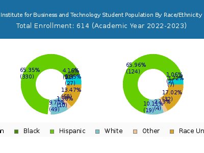 Institute for Business and Technology 2023 Student Population by Gender and Race chart