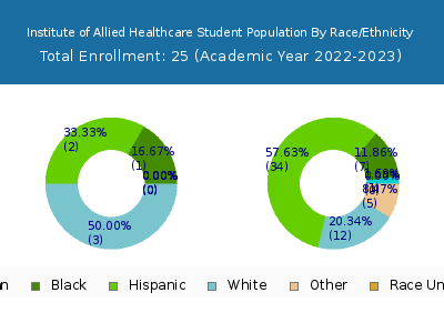 Institute of Allied Healthcare 2023 Student Population by Gender and Race chart