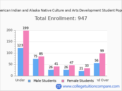 Institute of American Indian and Alaska Native Culture and Arts Development 2024 Student Population by Age chart