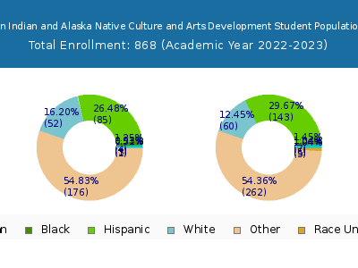 Institute of American Indian and Alaska Native Culture and Arts Development 2023 Student Population by Gender and Race chart