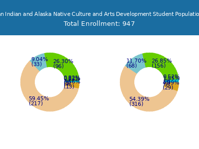 Institute of American Indian and Alaska Native Culture and Arts Development 2025 Student Population by Gender and Race chart