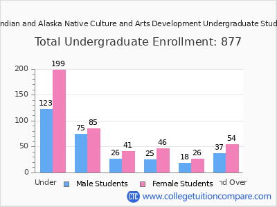 Institute of American Indian and Alaska Native Culture and Arts Development 2024 Undergraduate Enrollment by Age chart