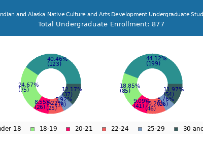 Institute of American Indian and Alaska Native Culture and Arts Development 2024 Undergraduate Enrollment Age Diversity Pie chart