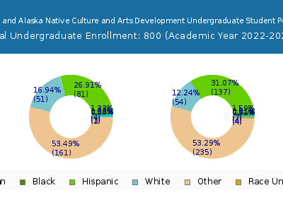 Institute of American Indian and Alaska Native Culture and Arts Development 2023 Undergraduate Enrollment by Gender and Race chart