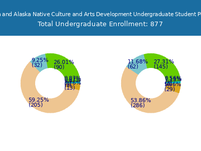 Institute of American Indian and Alaska Native Culture and Arts Development 2025 Undergraduate Enrollment by Gender and Race chart