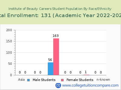 Institute of Beauty Careers 2023 Student Population by Gender and Race chart