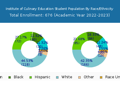 Institute of Culinary Education 2023 Student Population by Gender and Race chart