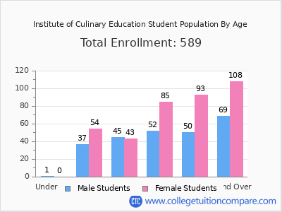 Institute of Culinary Education 2024 Student Population by Age chart