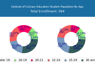 Institute of Culinary Education 2024 Student Population Age Diversity Pie chart