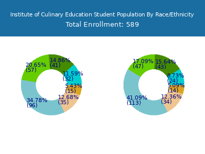 Institute of Culinary Education 2025 Student Population by Gender and Race chart