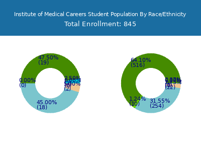 Institute of Medical Careers 2025 Student Population by Gender and Race chart