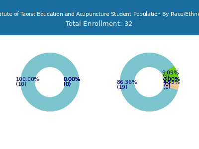 Institute of Taoist Education and Acupuncture 2025 Student Population by Gender and Race chart