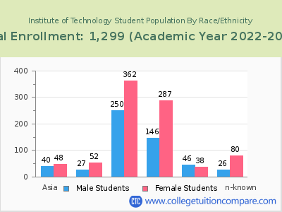 Institute of Technology 2023 Student Population by Gender and Race chart