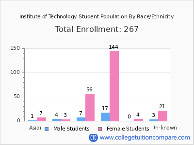 Institute of Technology 2025 Student Population by Gender and Race chart