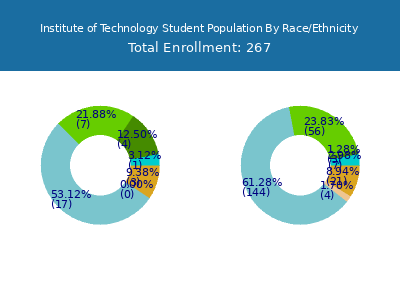 Institute of Technology 2025 Student Population by Gender and Race chart