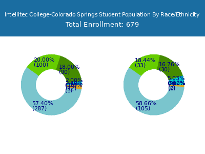 Intellitec College-Colorado Springs 2025 Student Population by Gender and Race chart