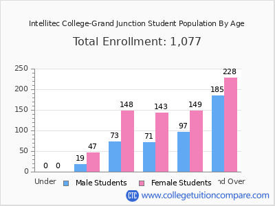 Intellitec College-Grand Junction 2024 Student Population by Age chart