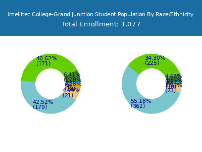 Intellitec College-Grand Junction 2025 Student Population by Gender and Race chart