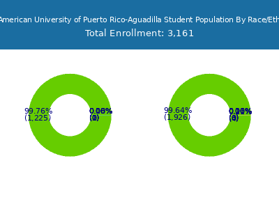 Inter American University of Puerto Rico-Aguadilla 2025 Student Population by Gender and Race chart