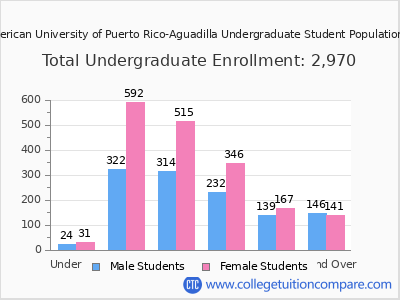 Inter American University of Puerto Rico-Aguadilla 2025 Undergraduate Enrollment by Age chart