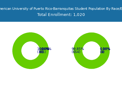 Inter American University of Puerto Rico-Barranquitas 2025 Student Population by Gender and Race chart