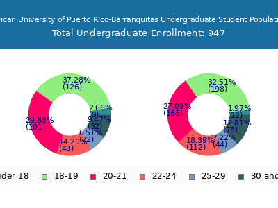 Inter American University of Puerto Rico-Barranquitas 2025 Undergraduate Enrollment Age Diversity Pie chart