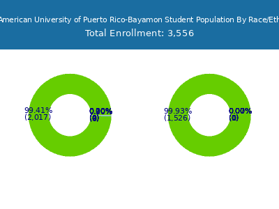 Inter American University of Puerto Rico-Bayamon 2025 Student Population by Gender and Race chart