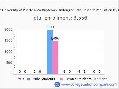Inter American University of Puerto Rico-Bayamon 2025 Undergraduate Enrollment by Gender and Race chart