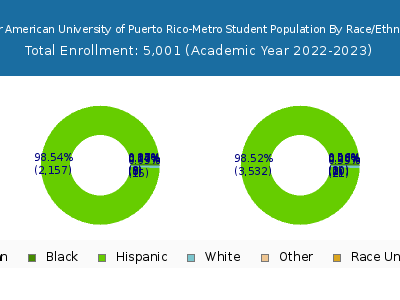 Inter American University of Puerto Rico-Metro 2023 Student Population by Gender and Race chart