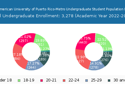 Inter American University of Puerto Rico-Metro 2023 Undergraduate Enrollment Age Diversity Pie chart